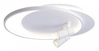 Накладной светильник Ambrella Light FL FL51391