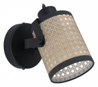 Спот Eglo ПРОМО Ruscomb 43493